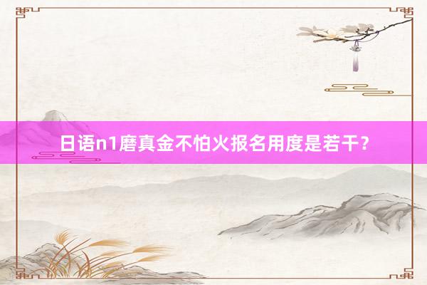 日语n1磨真金不怕火报名用度是若干？