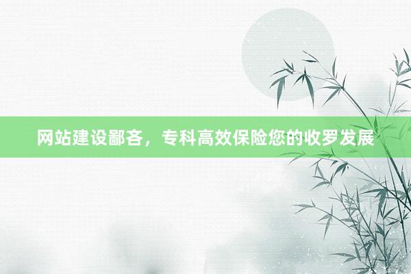 网站建设鄙吝，专科高效保险您的收罗发展